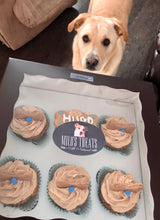 Load image into Gallery viewer, Grain-Free Pumpkin, PB &amp; Carrot Pupcakes
